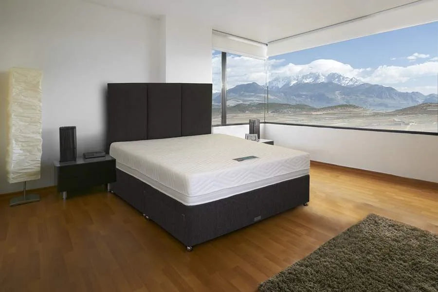 Memory Foam & Springs