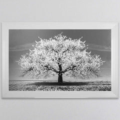 White Cherry Tree Framed Wall Art 114x74cm