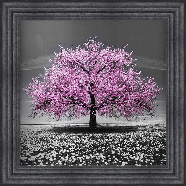 Pink Cherry Tree Framed Wall Art 75x75cm