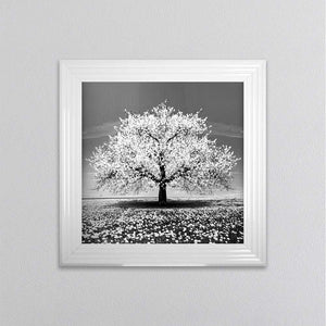 White Cherry Tree Framed Wall Art 75x75cm