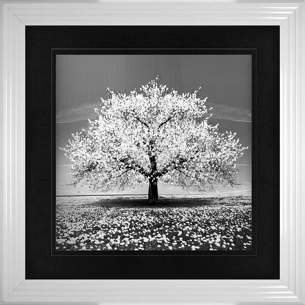 White Cherry Tree Framed Wall Art 90x90cm
