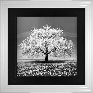 White Cherry Tree Framed Wall Art 90x90cm