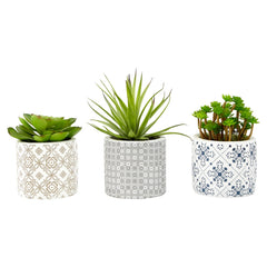 Set of 3 Succulents